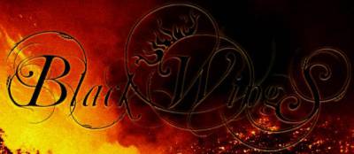 logo Black Wings (UKR)